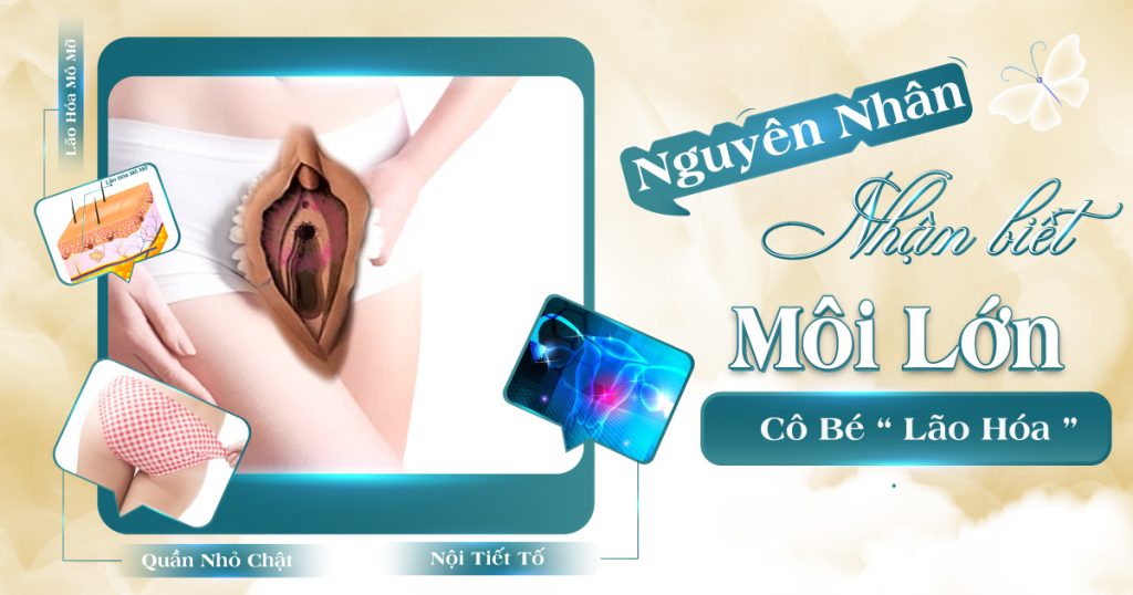 Nguyên nhân khiến môi lớn bị lão hóa