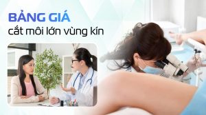 Bảng giá cắt môi lớn vùng kín mới nhất 2026